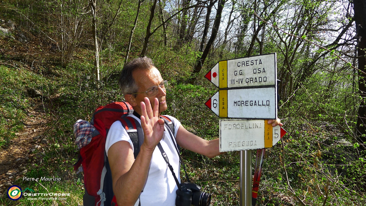 21 Al bivio prendiamo il sentiero 6 per il Moregallo, via Bocchetta di  Sambrosera.JPG